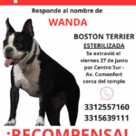 wanda
