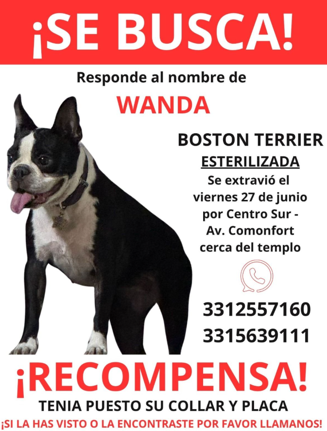 wanda