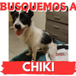 chiki